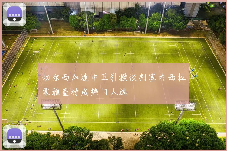 切尔西加速中卫引援谈判塞内西拉蒙雅奎特成热门人选