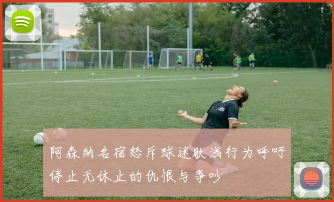 阿森纳名宿怒斥球迷肤浅行为呼吁停止无休止的仇恨与争吵