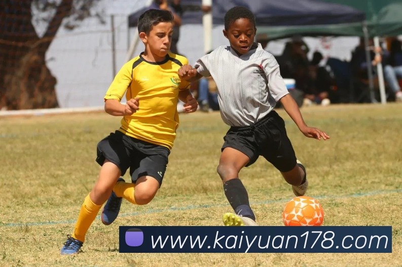 开元体育发展历程